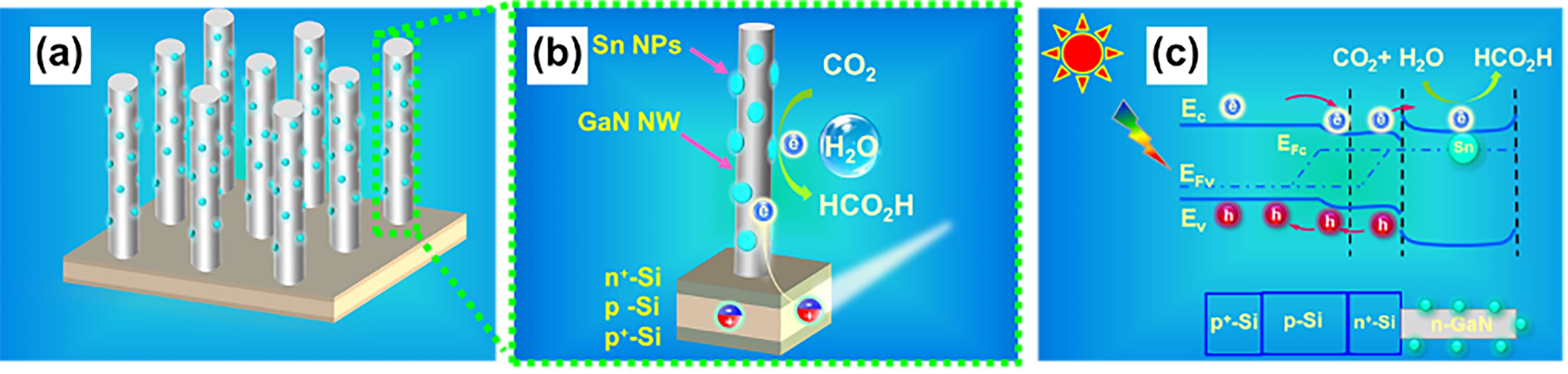Peter%20Walter%20Nanopore