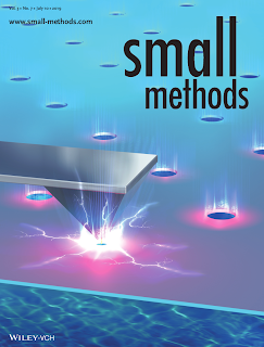 Peter%20Walter%20Nanopore